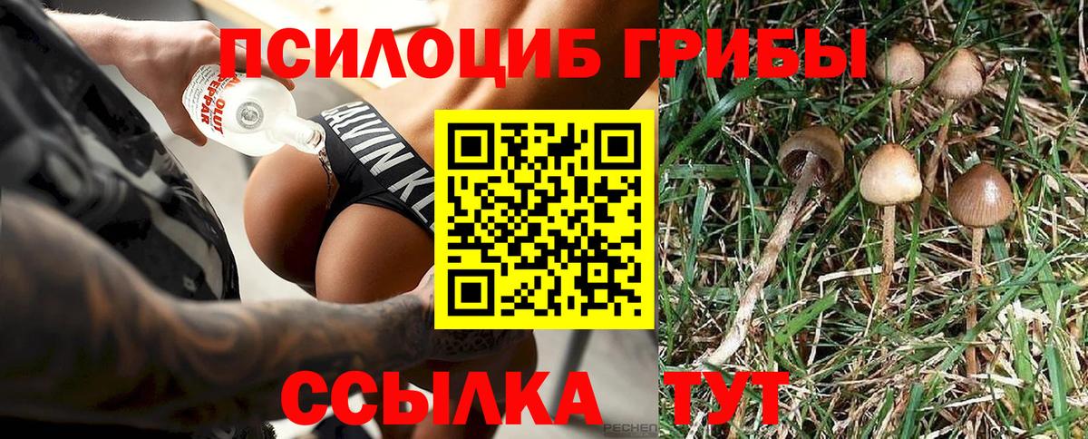 Галлюциногенные грибы Magic Shrooms Старая Купавна
